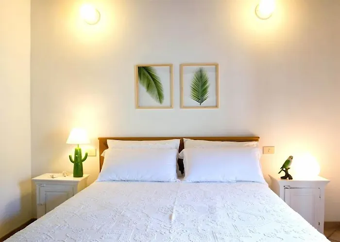 Jungle House - Pineta Is Morus